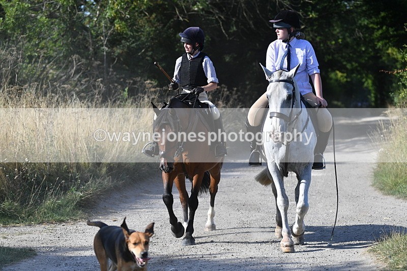 WJ5_4822 - Walk out with the hounds