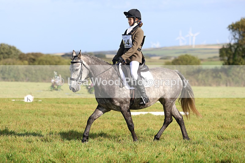 3E7A5725 - Class 1: Trebudannon Open: Dressage (Part 2)