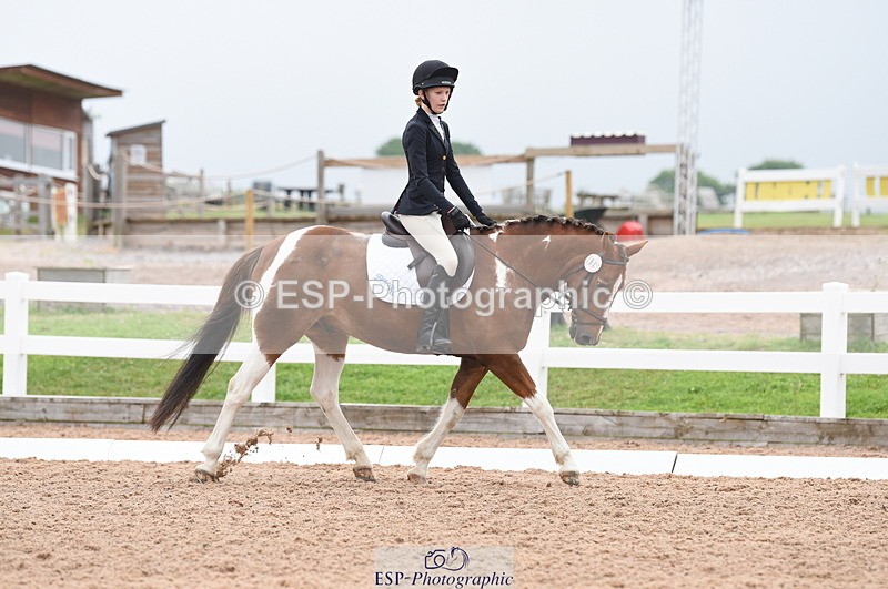 230708A-112236-01558 - Prelim 7