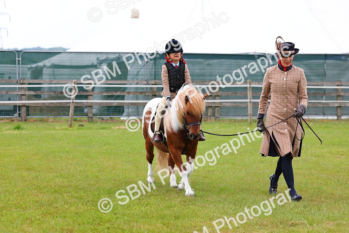 SBM_08247 - Class 42-43 - LIHS BSPS Heritage Working Sports Pony