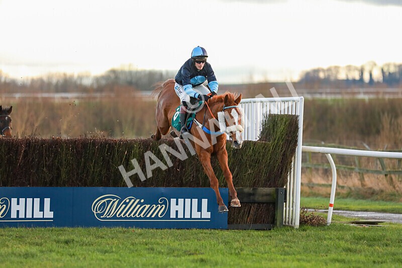 281224-Race 5-Poetry Man-1619 - Race 5