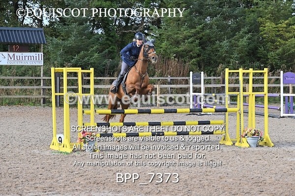 BPP_7373 - CLASS 3 Senior BritiNovice/ 90cm Open