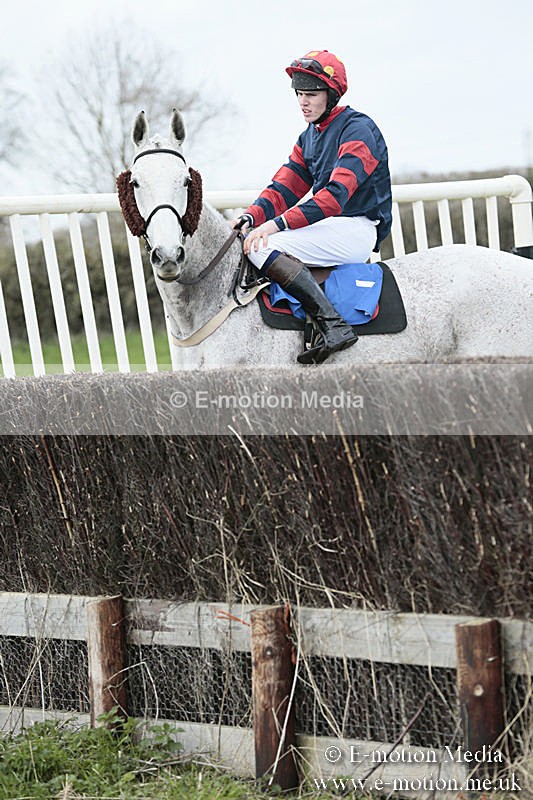 PtP 230319 62 - VWH Hunt Siddington Point-to-Point Racing 23/03/19