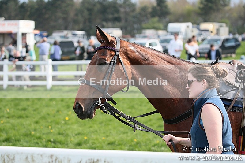 PtP 210418 297 - South & West Wilts Point-to-Point Larkhill 21/04/18