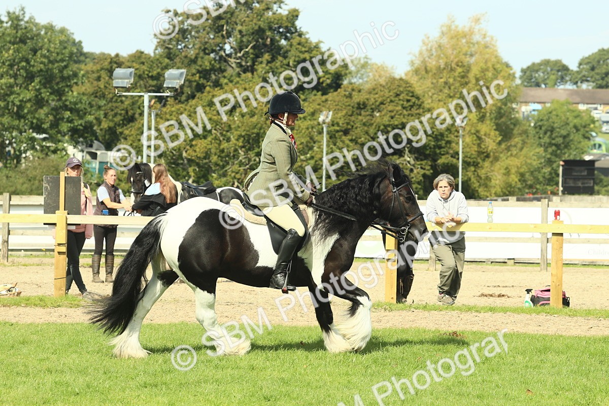 SBM_67578 - S56 - Coloured Pony Ridden