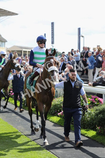 yr19082022r2-17 - Race 2 2.25pm Weatherbys Hamilton Lonsdale Cup (British Champions Series Race)