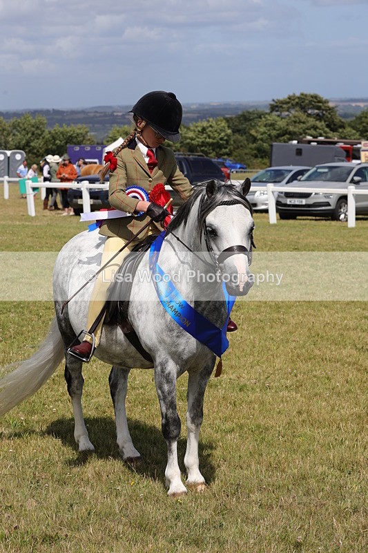 1X9A5501 - M&M Mini Ridden Championship