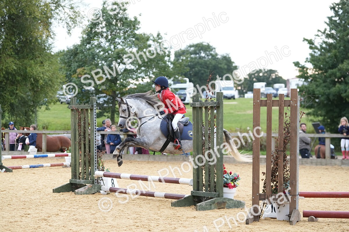 SBM_74857 - J4 - Mini Tour Junior Pony 45cm Championship