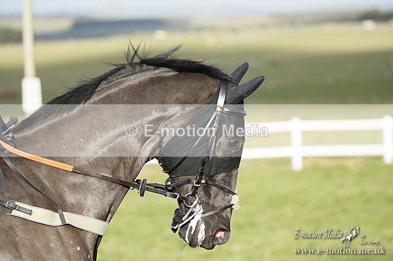 PtP 121220 197 - Avon Vale Races Larkhill 12/12/20