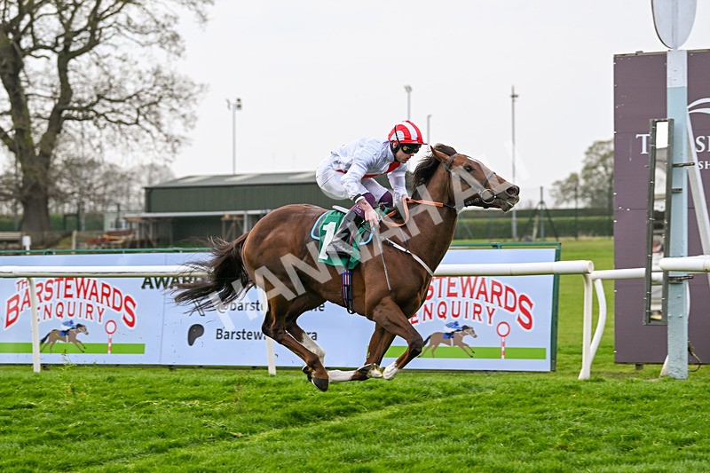 120425-Race 5-Majestic Warrior-1341 - Race 5