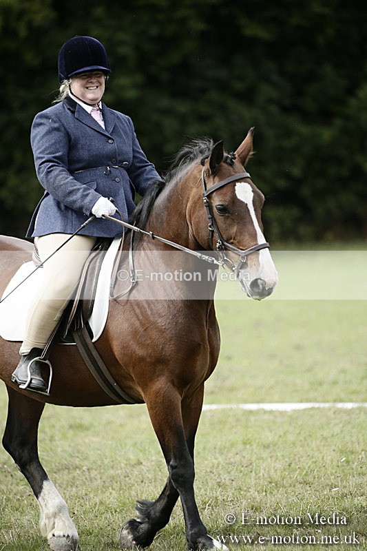 BVR080918 183 - BVRC Novice Dressage & CR 08/09/18