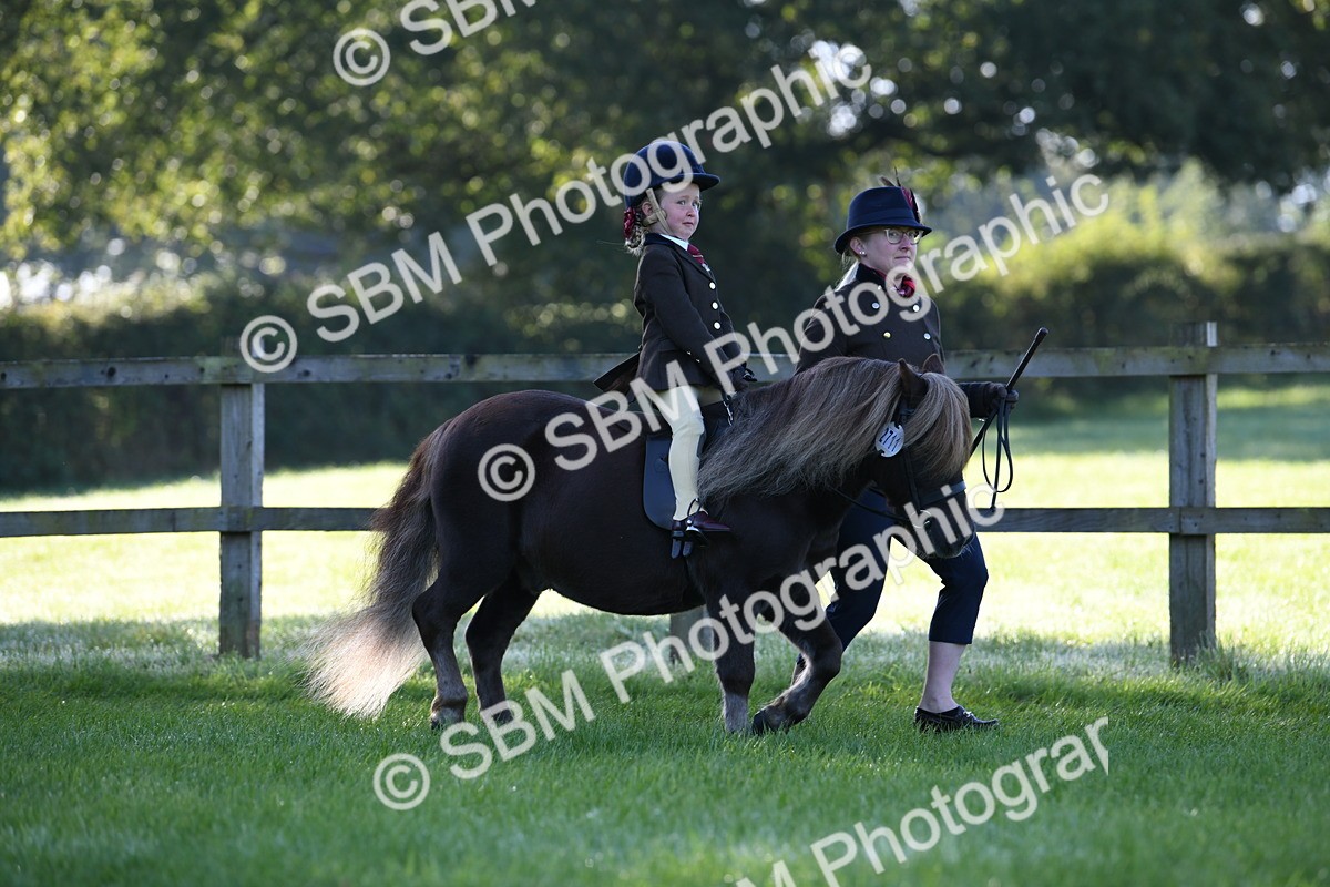 SBM_35302 - S17 - Condition & Turnout - Lead Rein