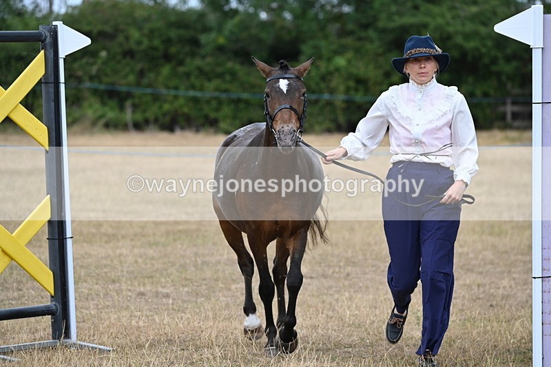 WJ6_8060 - Class 10 Coloured in Hand