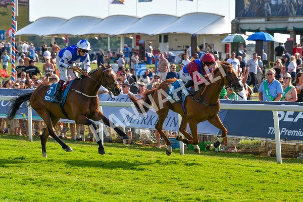 160623-Race 7-Diamond Bay-6583 - Race 7 5.21pm Constant Security Handicap