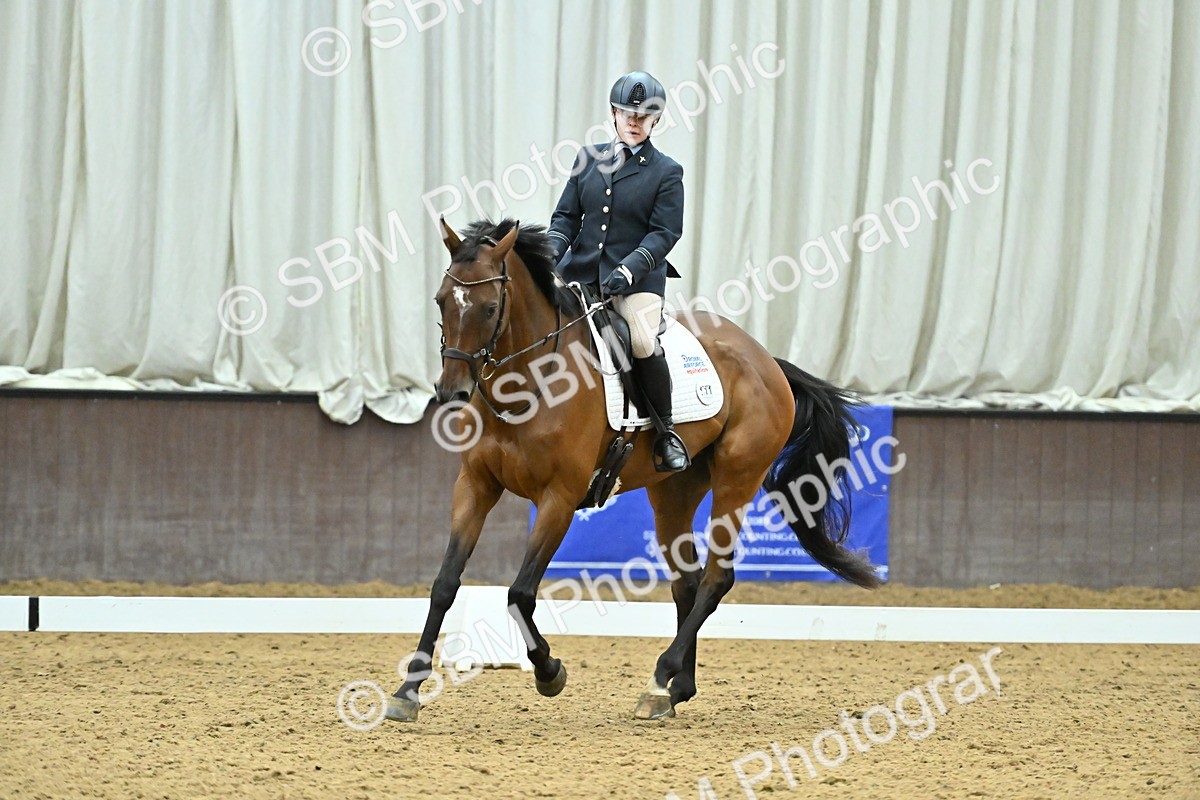 SBM_007540 - Class 81 - Novice 3