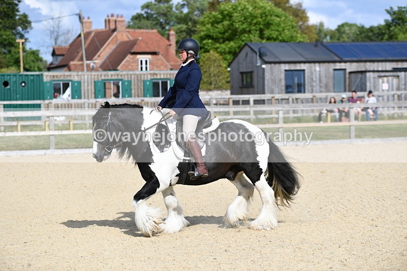 WJ5_7711 - Time 16:40 to 16:55