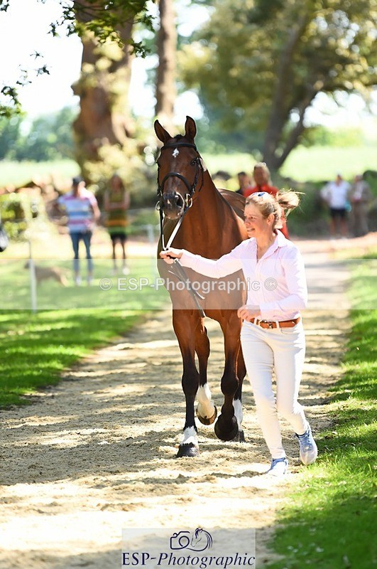 230524-150554-00064 - 381-CAROLINES_AIR_KM-Izzy_Taylor-WEDTrotUp+DR