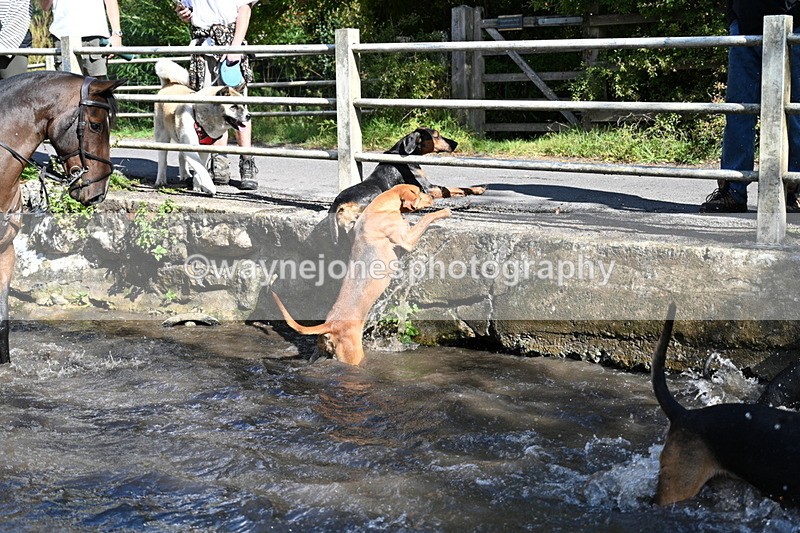 WJ7_6021 - Hounds Water Crossing