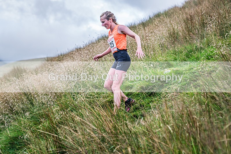 Steel Fell-543 - Steel Fell Race Wednesday 7th August 2024