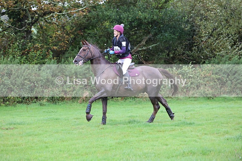 JPP_5446 - Class 4: 80cm: Crossed Logs