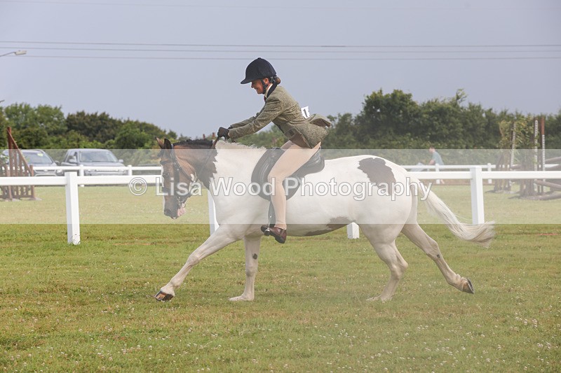 1X9A3049 - Class 26: Ridden Plaited Coloured Pony