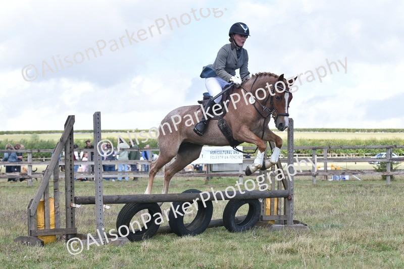 20250831-3998 - Class 12 - Working Hunter Pony 14.2hh and Under