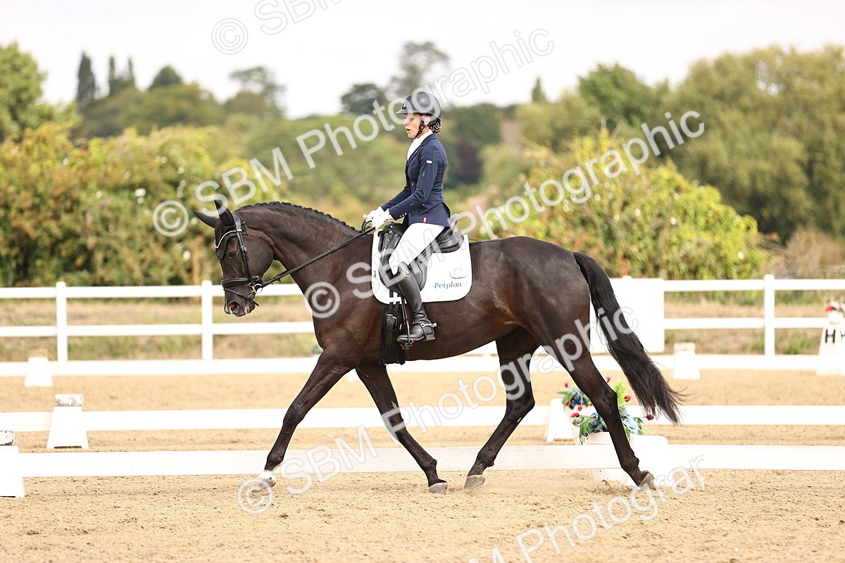 SBM_013812 - Class 4 - Novice 5  12.13-13.02