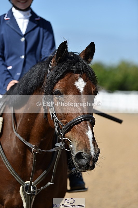 230903A-113830-04243 - Cls 18 Pony Brit Novice & 80cm Open