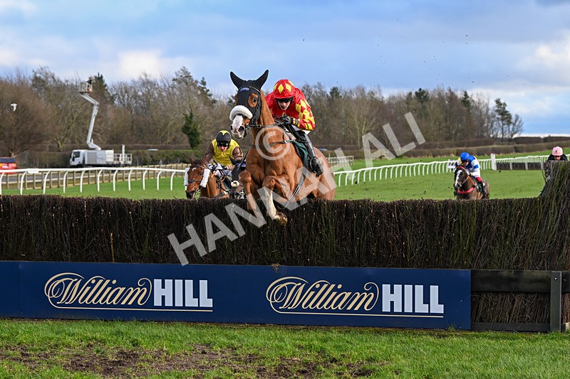 020224-Race 4-Treaty Boy-8334 - Race 4