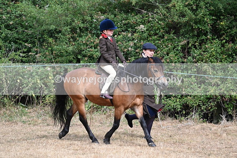 WJ7_6527 - Class 1 Lead Rein Pony