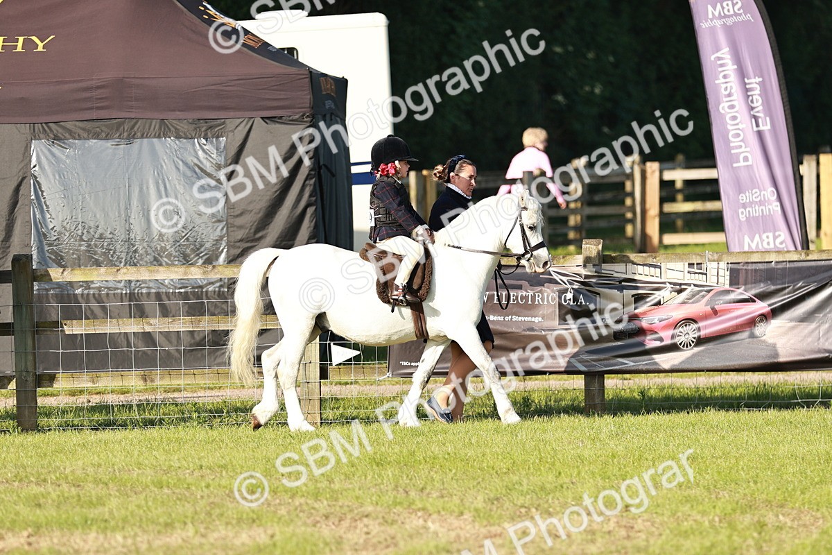 SBM_10988 - Class 106-107 - BSPS LIHS Working Sports Pony