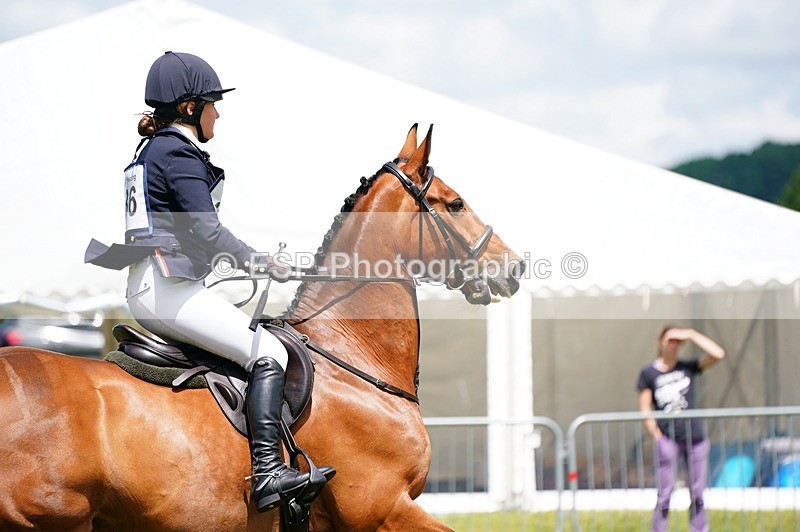 240630X-124458-8349 - 336-Tichy_Sanders-SPARHANGER_VELVET