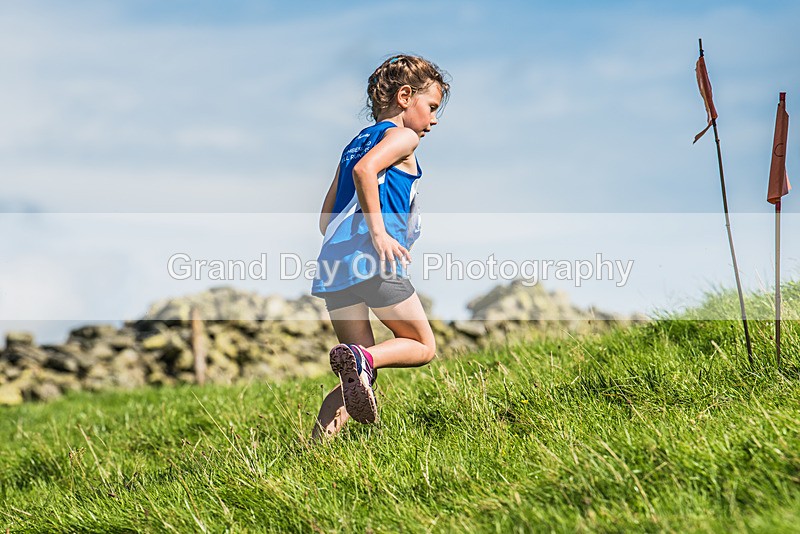 Loweswater Show-97 - Loweswater Show Junior & Senior Fell Races Sunday 3rd September 2023