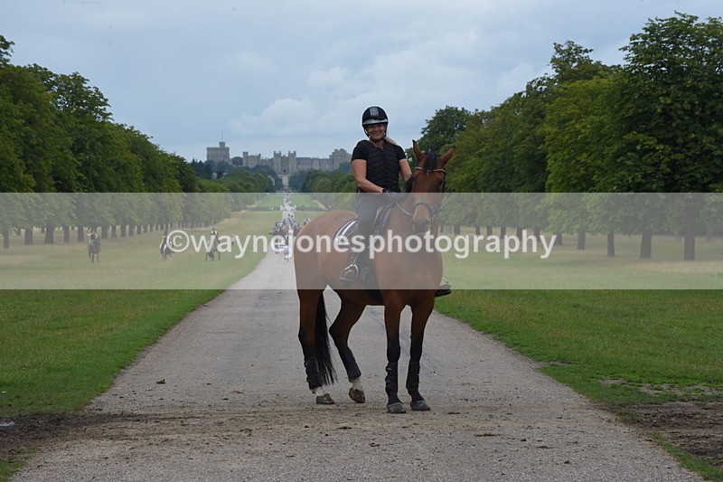 TT3_9553 - Time at Crossing 11:28 to 13:16