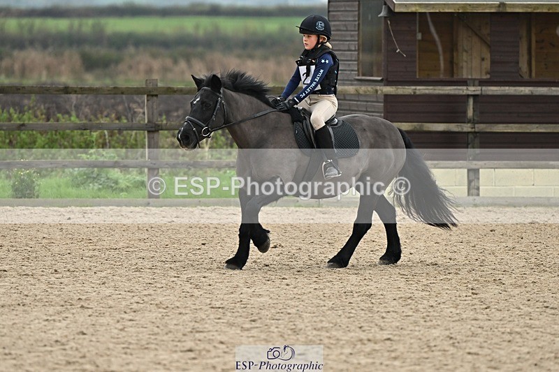 241110-134421-00925 - 60-65cm Arena Eventing