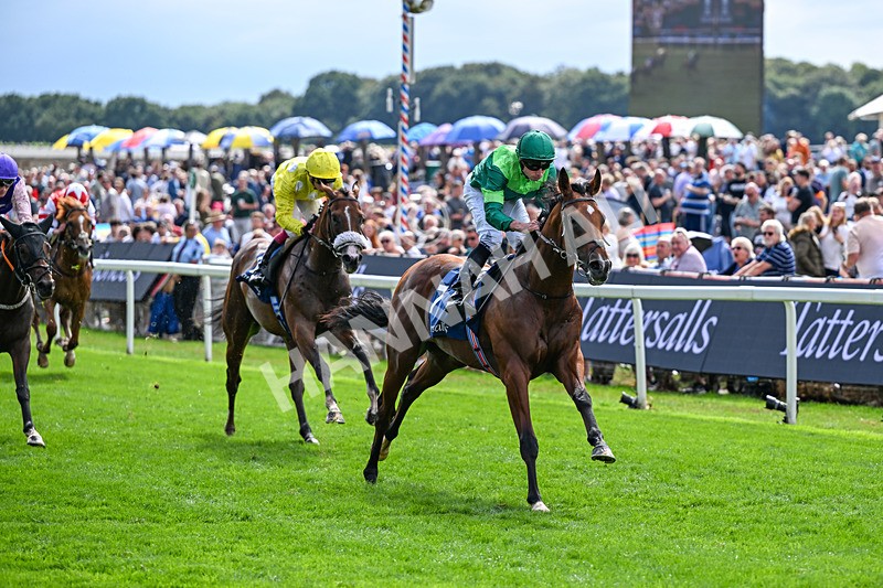 190826-Race 2-Haffner-0787 - Race 2 14.25pm Tattersalls Acomb Stakes