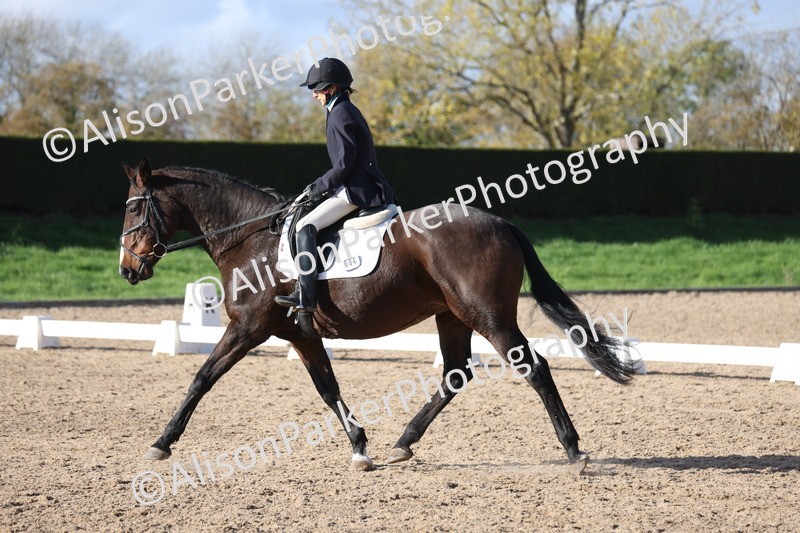 20251101-0625 - Class 5 - Novice 3