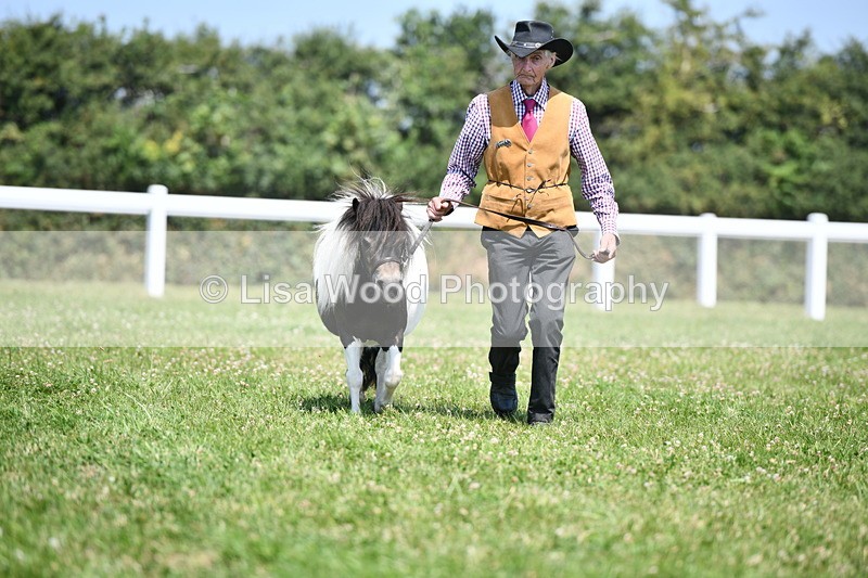 DSC_7661 - Class 64: Coloured Pony 4yrs & over