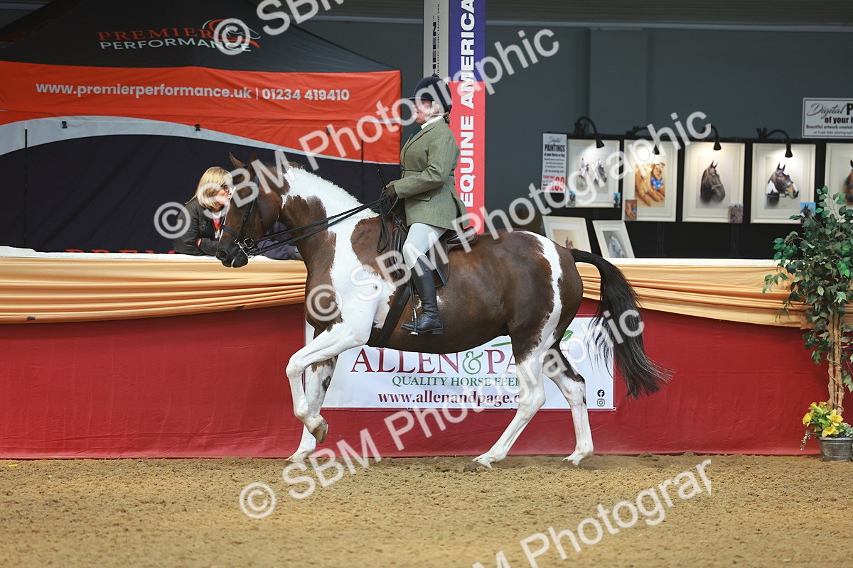 SBM_12524 - Class 103 - HOYS Veteran Qualifier - Ridden Pre Vet