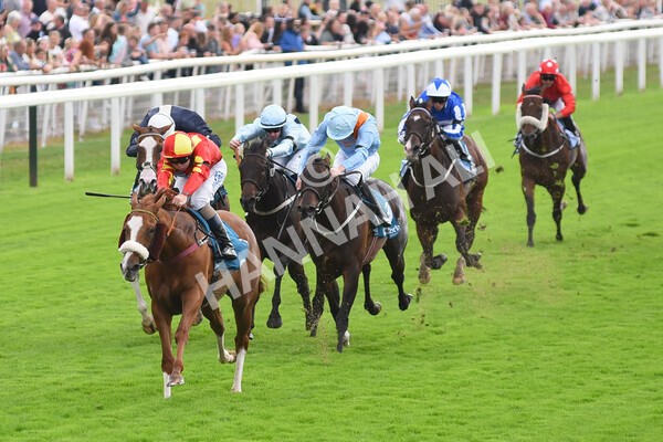 yr04092022r3-27 - Race 3 2.55pm The Elevator Company Garrowby Stakes