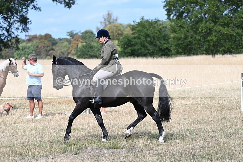 WJ7_5871 - Class 13 Ridden Veterans