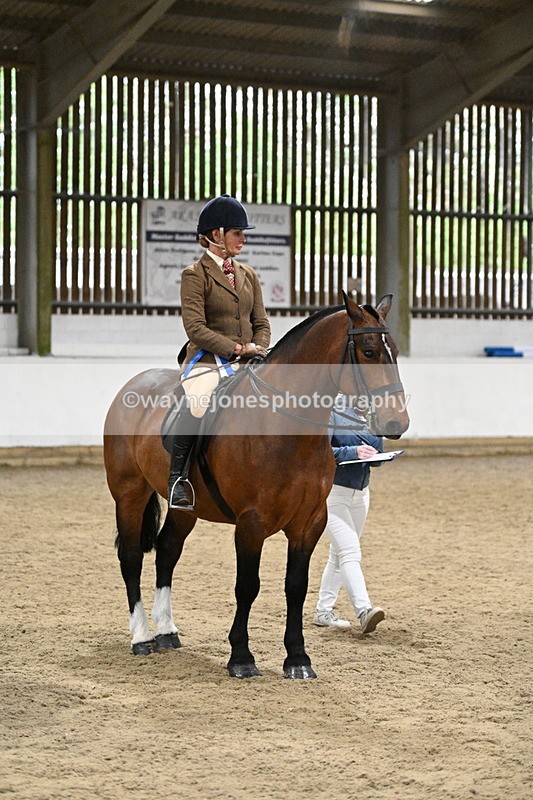 WJ7_4348 - Class 17 Ridden Cob