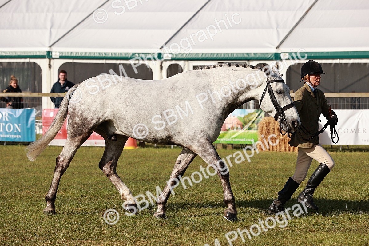 SBM_10817 - Class 81-84 - RIHS Ridden hunters Inc Ladies Hunter