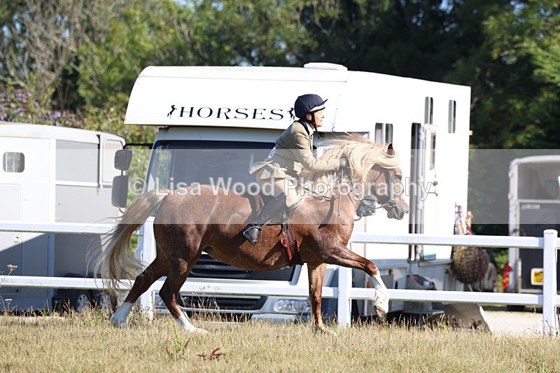 3E7A5443 - Class 3: Working Hunter 70cm