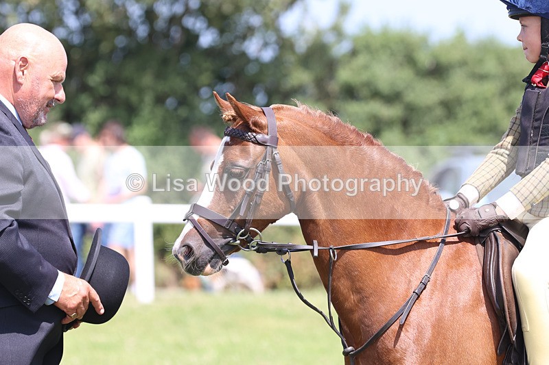 JPP_2494 - Class 21: Working Hunter 60cm