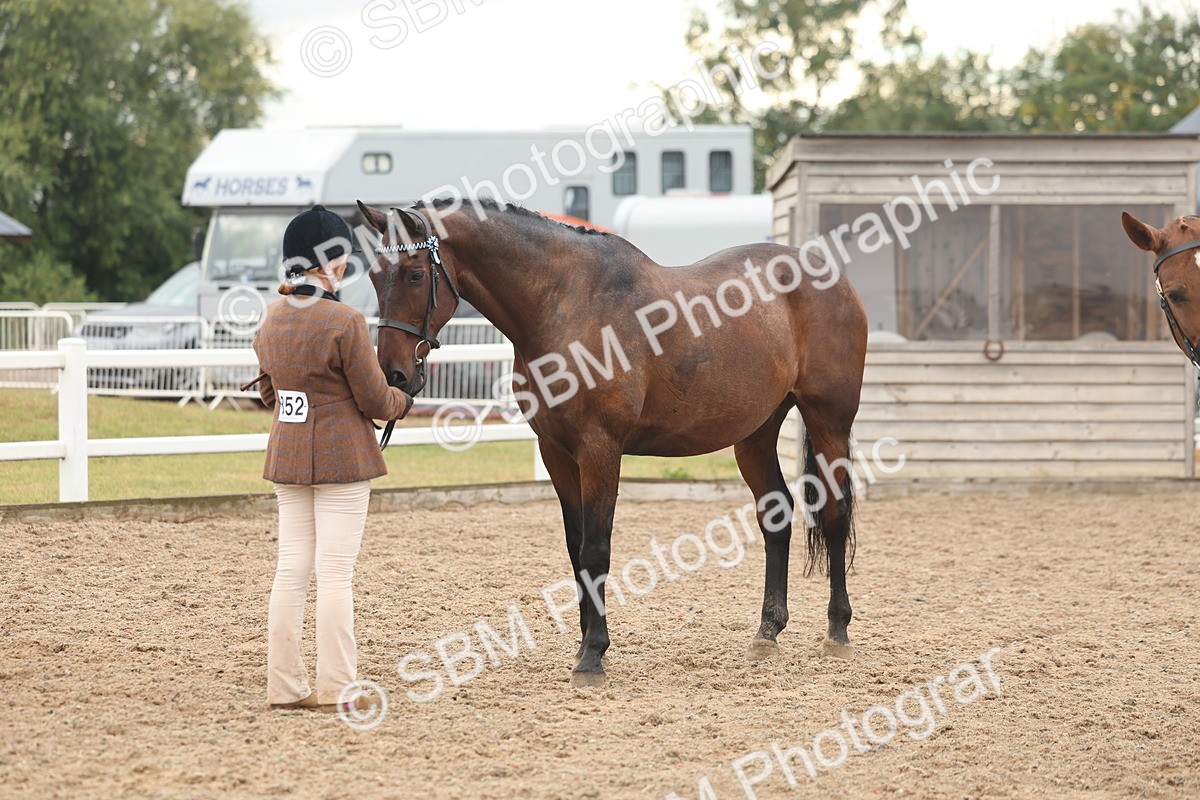 SBM_07790 - Class 27 - IH Competition Horse/Pony