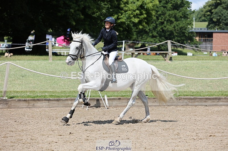 250614A-111550-05952 - Cls 26 British Novice and 90cm Open