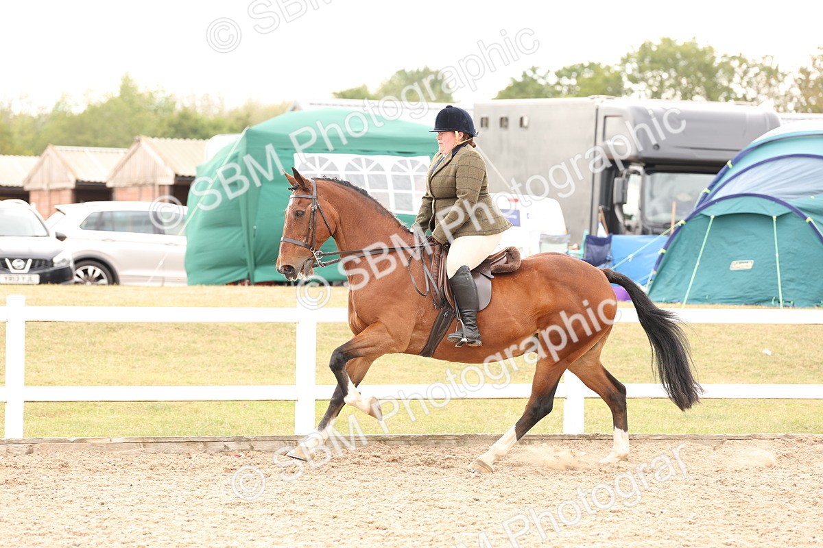 SBM_16501 - Class 212 - Ridden Hunter - Small