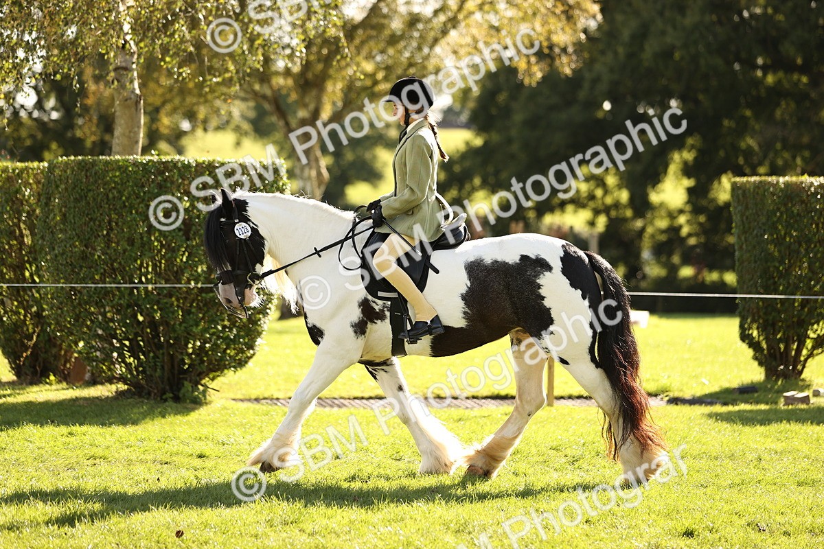 SBM_26438 - S6 - Novice & Newcomers Ridden Horse
