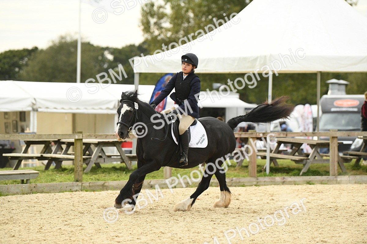 SBM_75744 - Supreme Championship